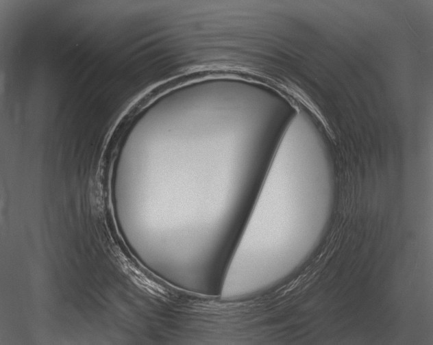 X0000084551068200702230929