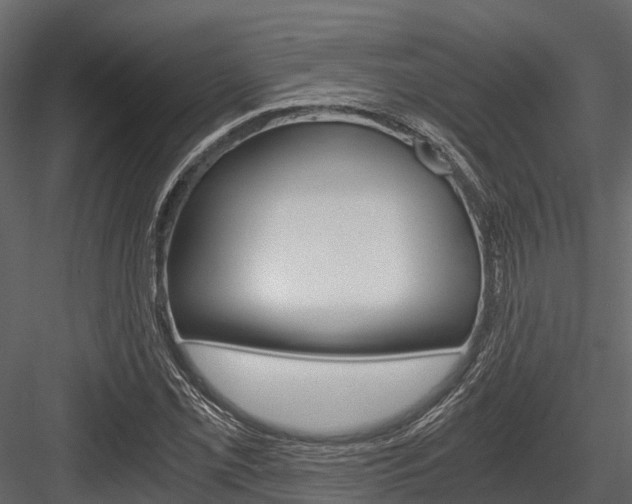 X0000084551069200702230929