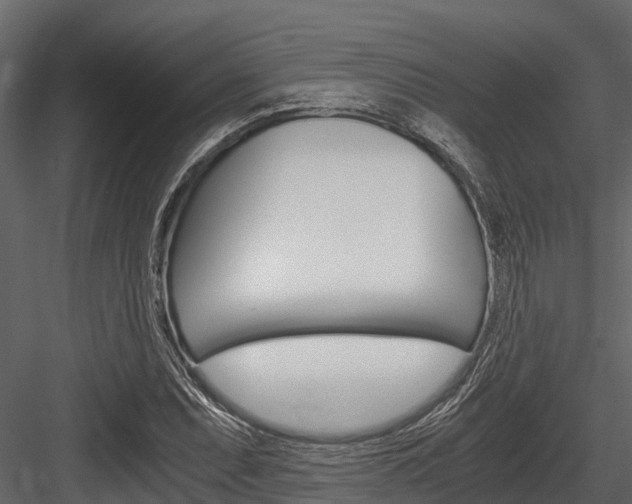 X0000084551071200702230929
