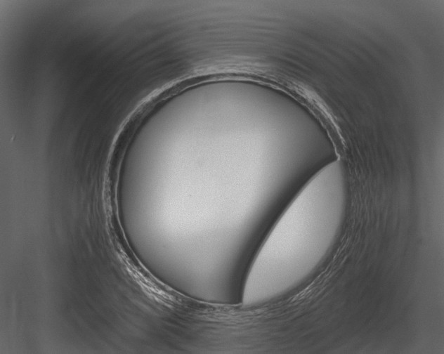 X0000084551072200702230929