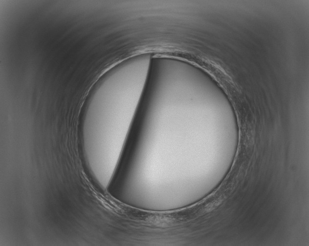 X0000084551073200702230929