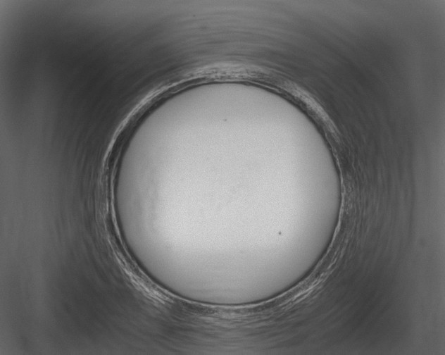 X0000084551075200702230929
