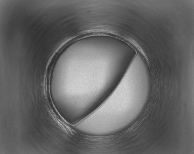 X0000084551076200702230929