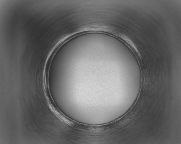 X0000084551080200702230929
