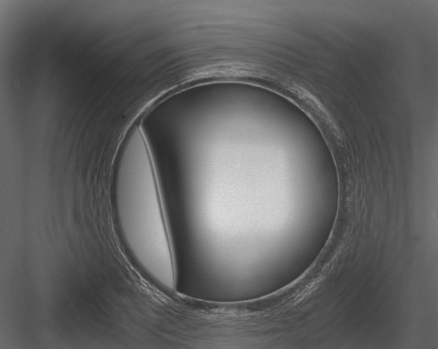 X0000084551081200702230929