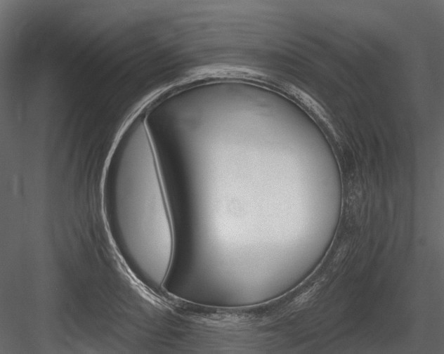 X0000084551082200702230929