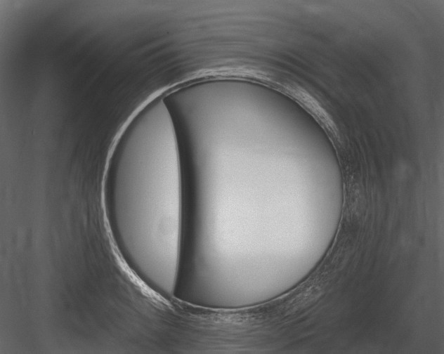 X0000084551084200702230928