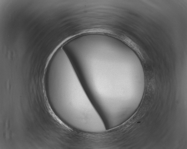 X0000084551092200702230928