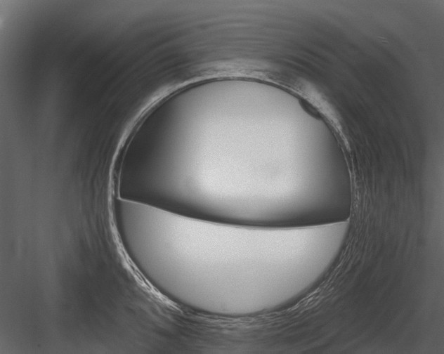 X0000084551096200702230928