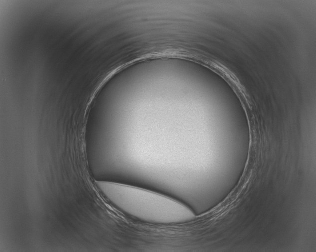 X0000084551097200702230928