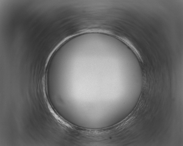X0000084551100200702230928