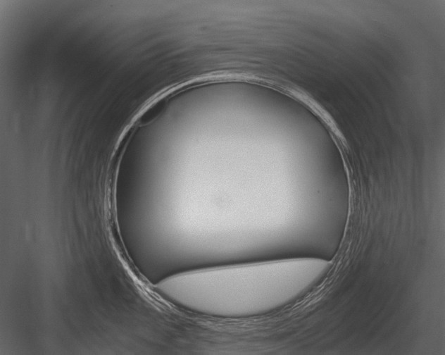 X0000084551101200702230928