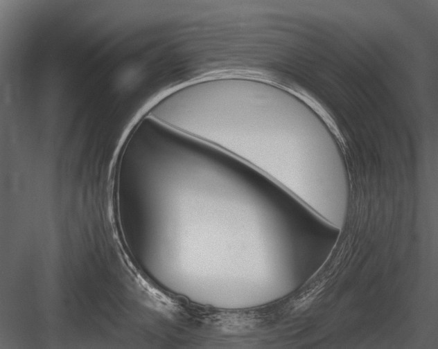 X0000084551102200702230928