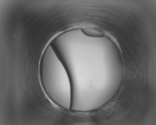 X0000084551103200702230928