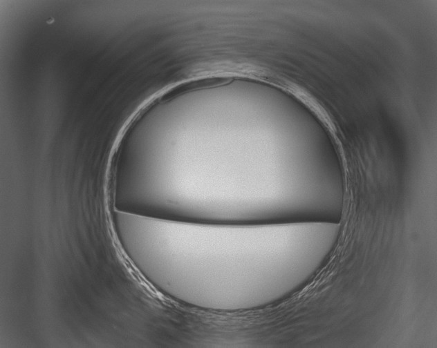 X0000084551104200702230928