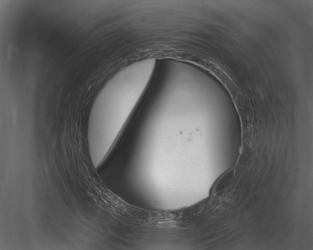 X0000084551111200702230927