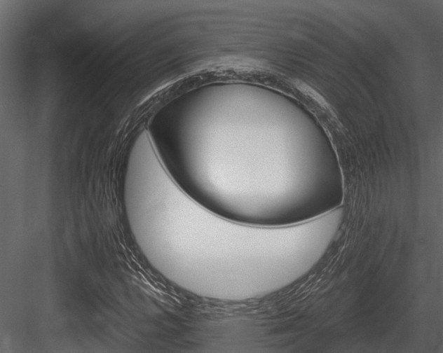 X0000084551112200702230927