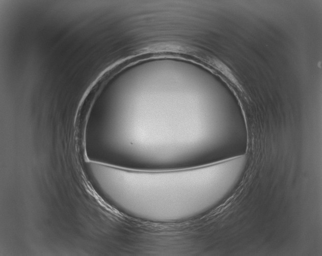 X0000084551116200702230928