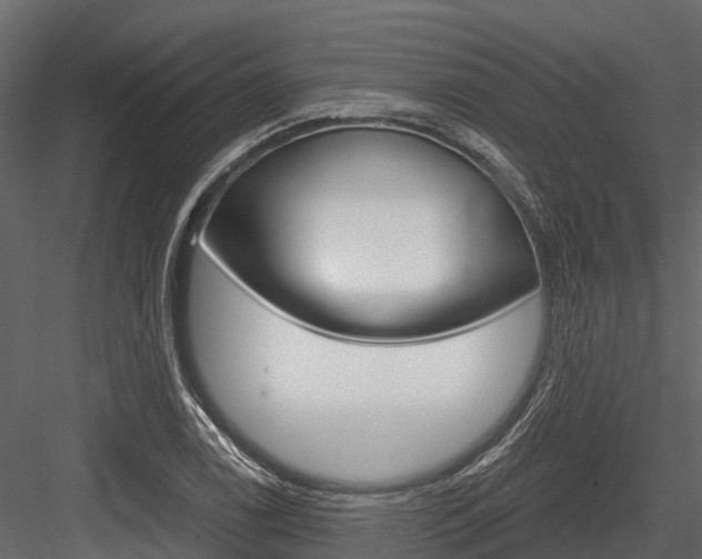 X0000084551122200702230928