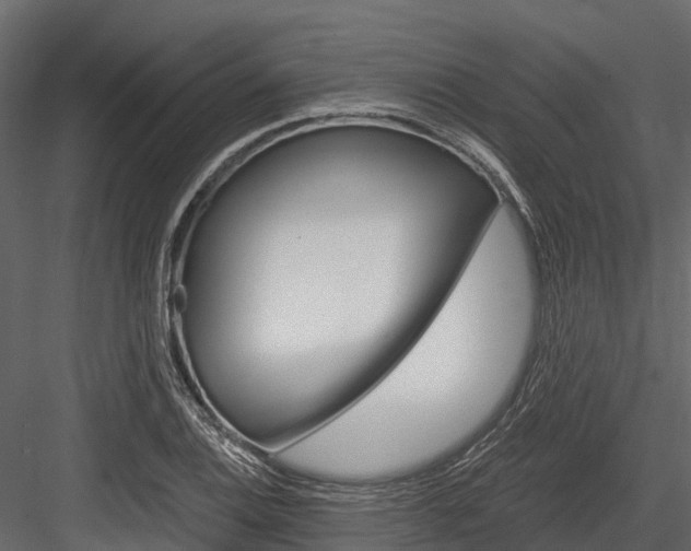 X0000084551124200702230928