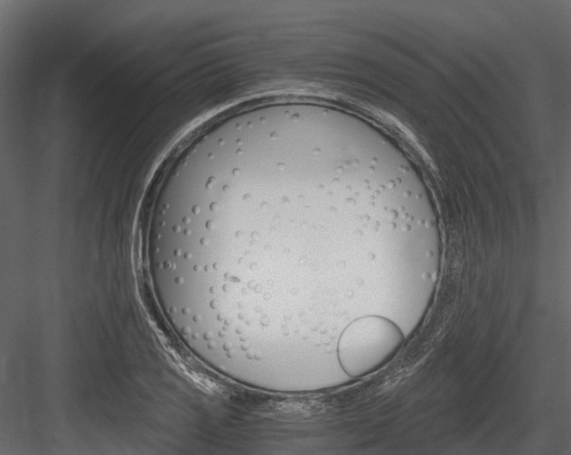 X0000084551125200702230928