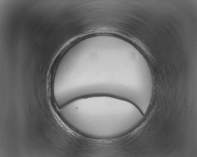 X0000084551126200702230928