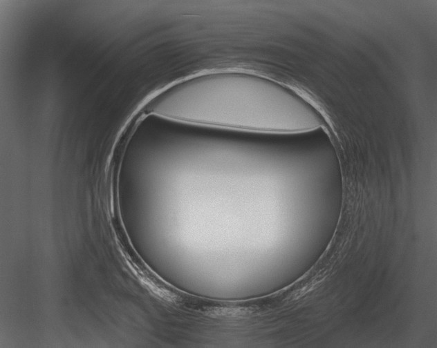 X0000084551127200702230928