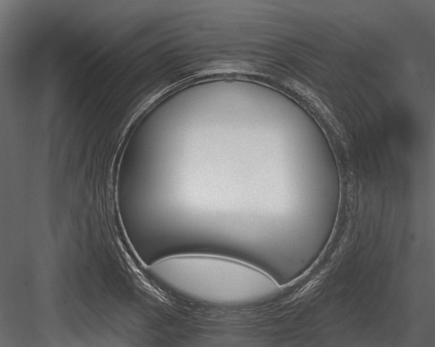 X0000084551129200702230928