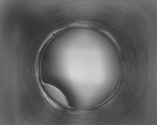 X0000084551131200702230928