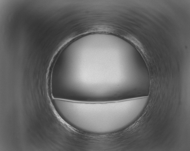 X0000084551135200702230928