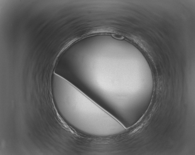 X0000084551137200702230928