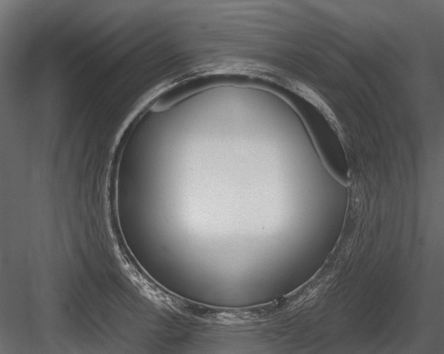 X0000084551138200702230928