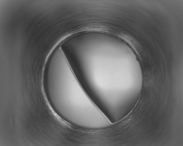 X0000084551139200702230928
