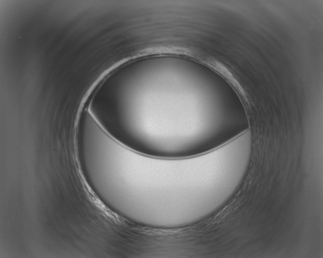 X0000084551140200702230928