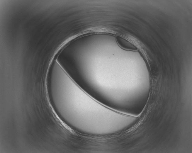 X0000084551141200702230928