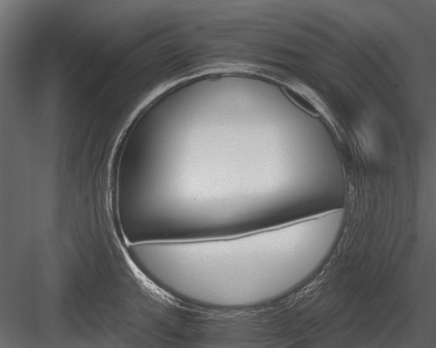 X0000084551143200702230928