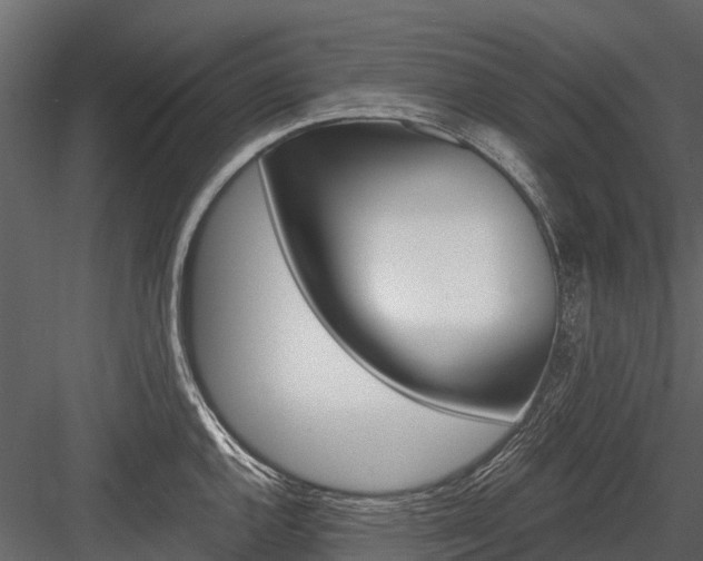 X0000084551144200702230928