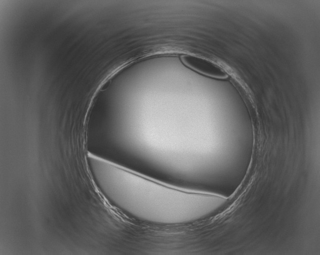 X0000084551145200702230928