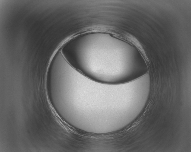 X0000084551146200702230928