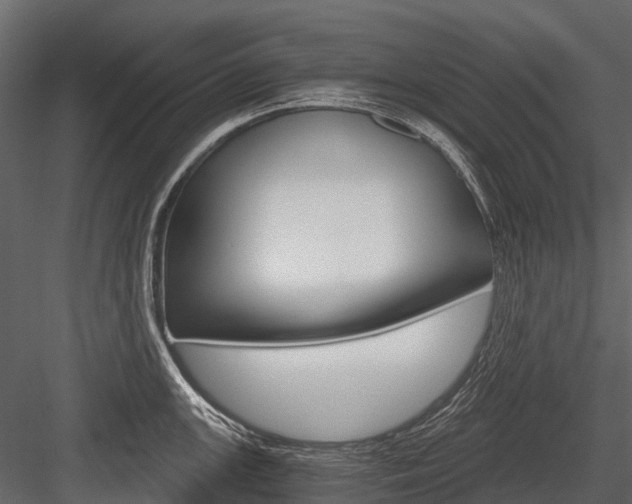 X0000084551147200702230928