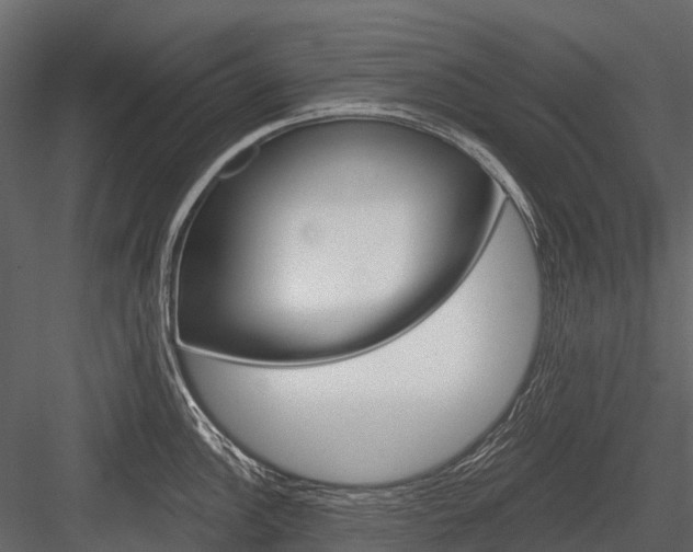 X0000084551148200702230928