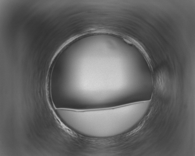 X0000084551149200702230928