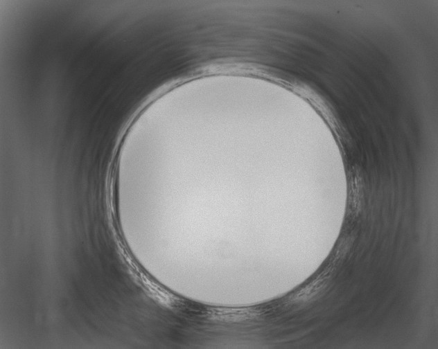X0000084551150200702230928