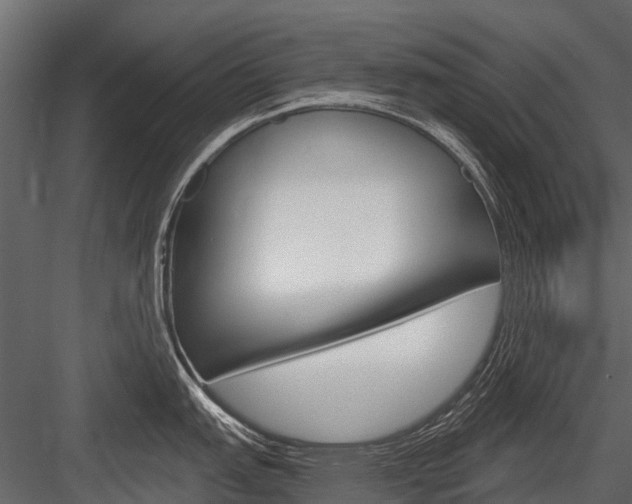 X0000084551151200702230928