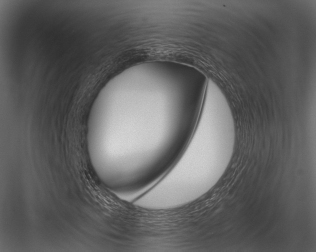 X0000084551153200702230927