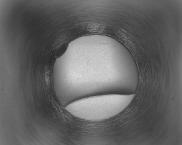 X0000084551154200702230927