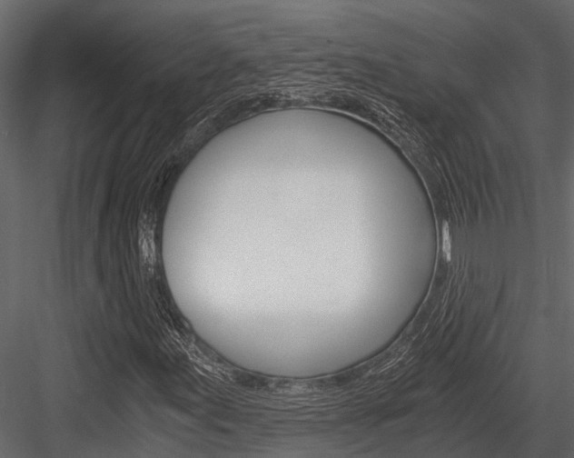 X0000084551155200702230927