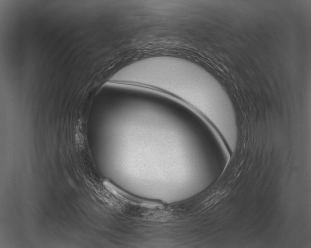 X0000084551156200702230927