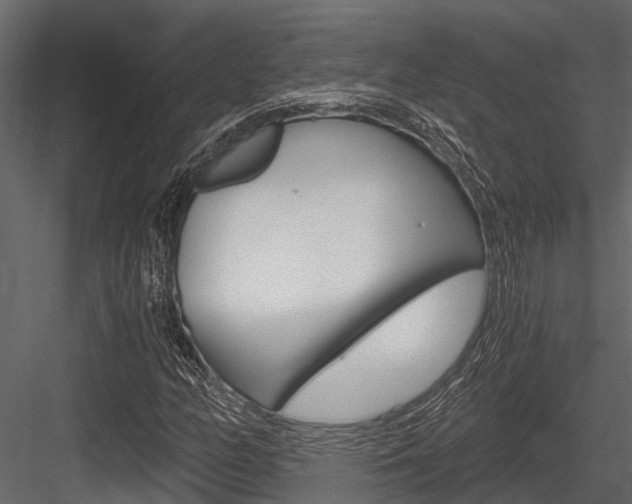 X0000084551158200702230927