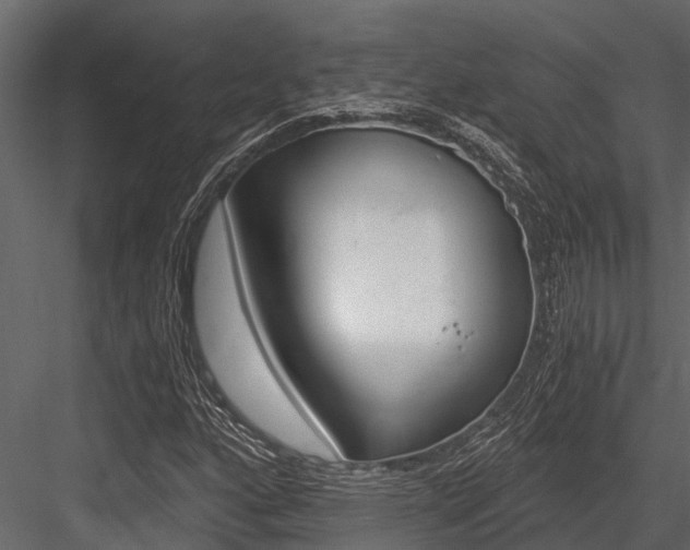 X0000084551160200702230927